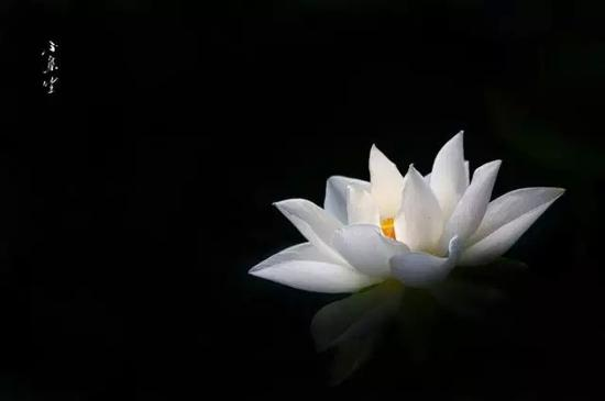 化解墮胎嬰靈注意事項(xiàng)-音狐運(yùn)勢(shì)網(wǎng)