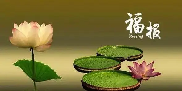 流產的孩子怎么化解，怨念消除才能夠安心-音狐運勢網